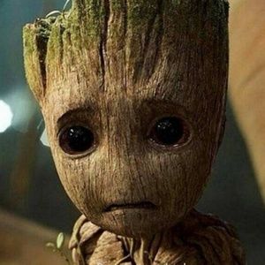 Meet your Posher, Jarlin